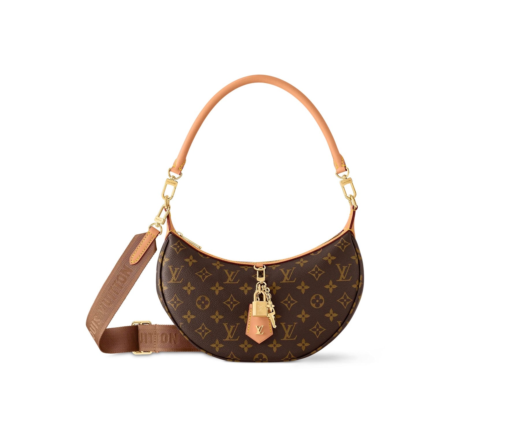 Loop LV Bag
